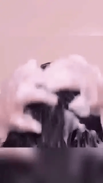 Ginger Black Hair Shampoo