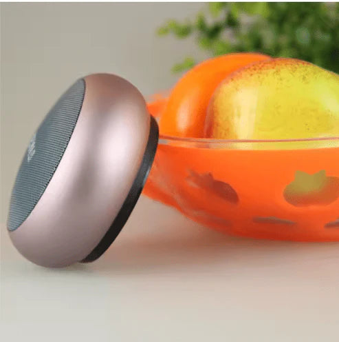 Portable Bluetooth Speaker